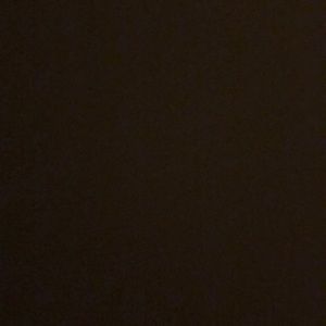 Meet your Posher, Izzy